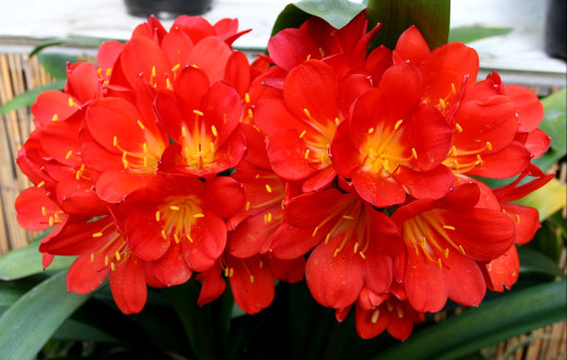 616771 (a): :2600x1650
